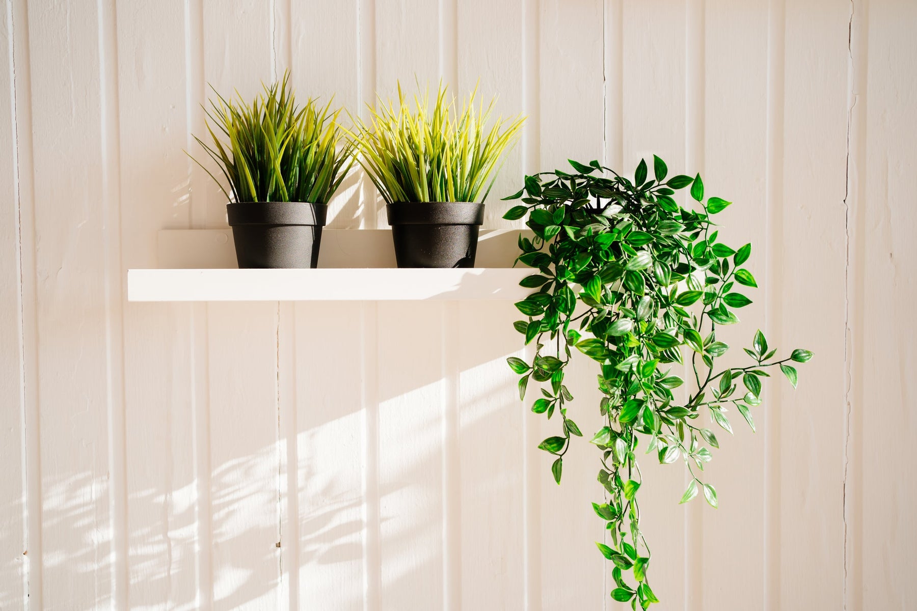Mooiste kunstplanten