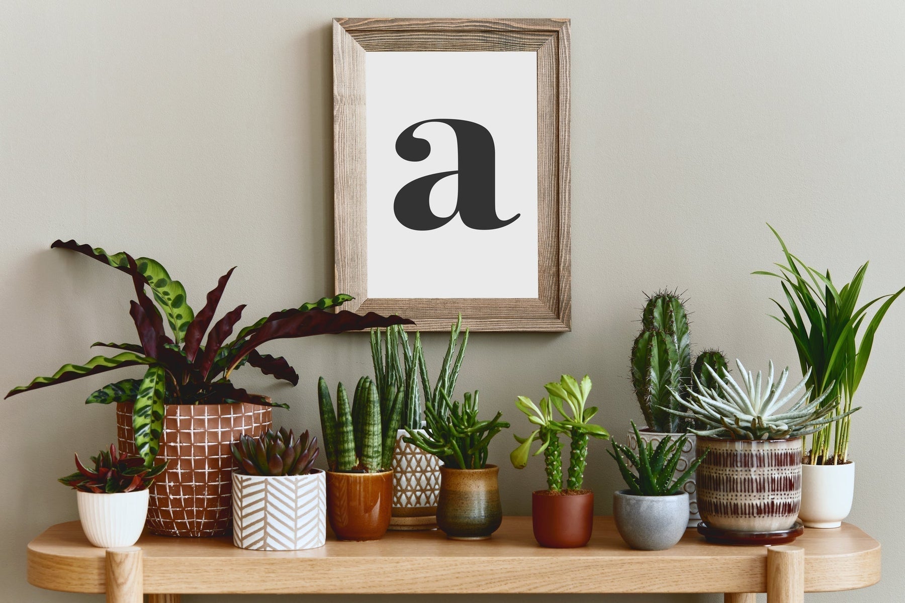 Planten in het Interieur
