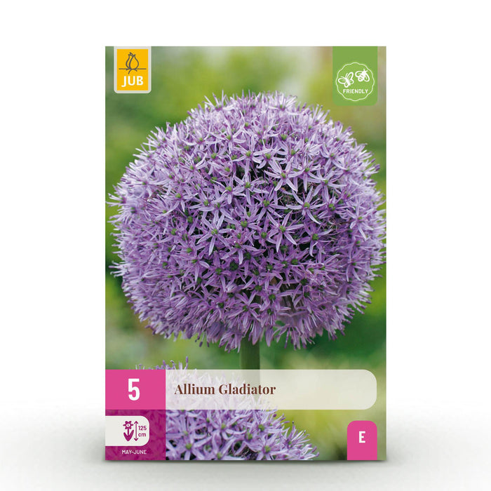 Bloembollen - Allium Gladiator - Kleur Paars - 5 stuks - Bolmaat 16/18 - XXL Pack