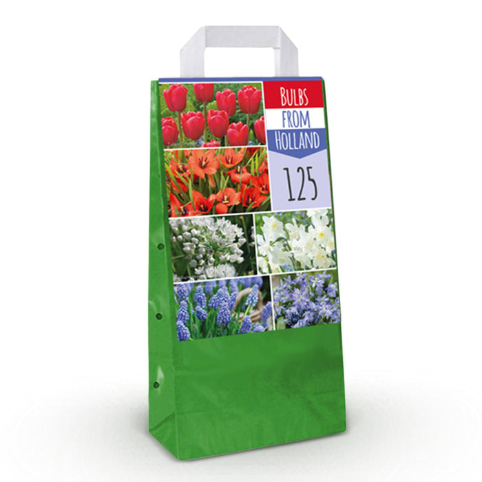 Bloembollen - Bulbs From Holland - Diversen Kleuren - 125 stuks - Gift Verpakking