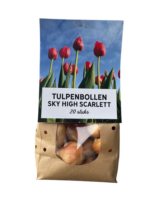 Sky High Scarlett - Tulpenbollen 20 stuks