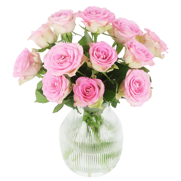 Sweet roses - roze rozen in brievenbuspakket