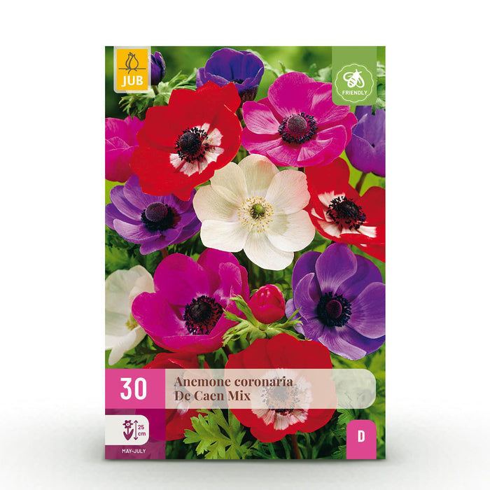 Bloembollen - Anemone de Caen mix - Diversen Kleuren - 30 stuks - Bolmaat 5/6 - XXL Pack