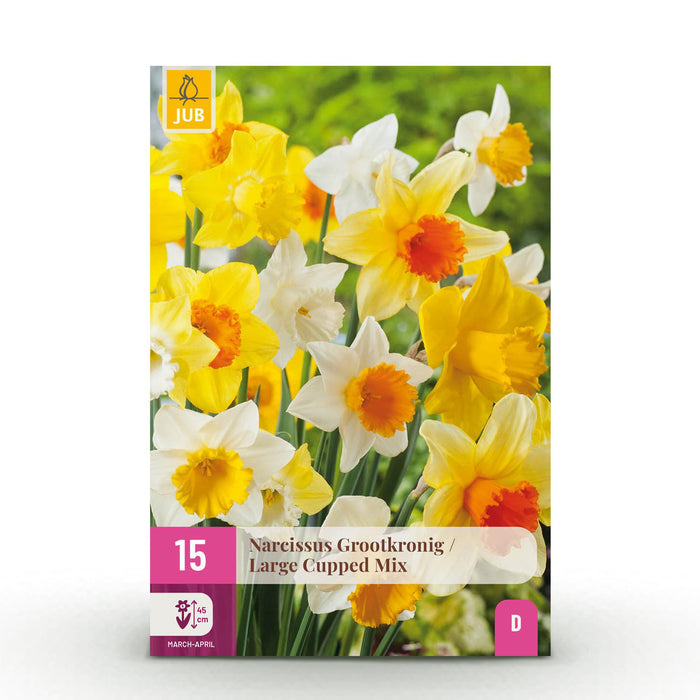 Bloembollen - Narcis Large Cupped mix - Kleur Geel en Wit - 15 stuks - Bolmaat 12/14 - XXL Pack