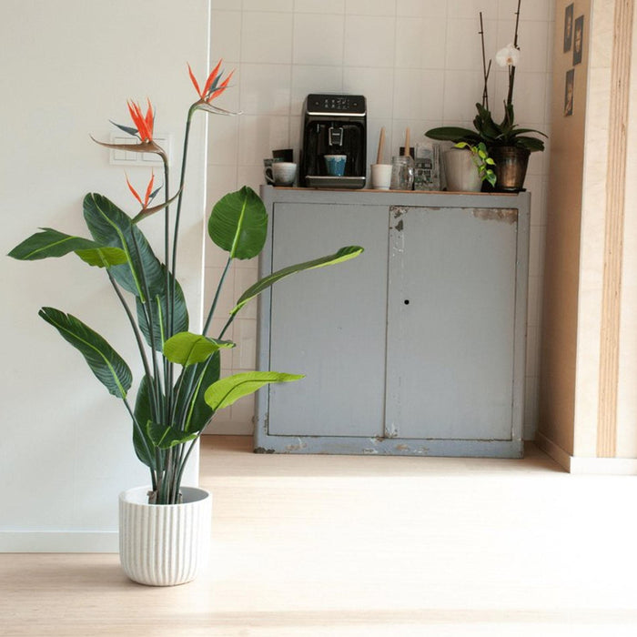 Strelitzia met bloemen - Kunstplant - 120cm - In zwarte pot