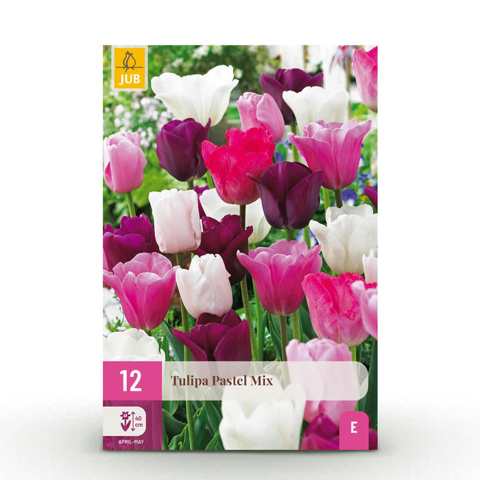 Bloembollen - Tulp Pastel mix - Diversen Kleuren - 12 stuks - Bolmaat 11/12 - XXL Pack