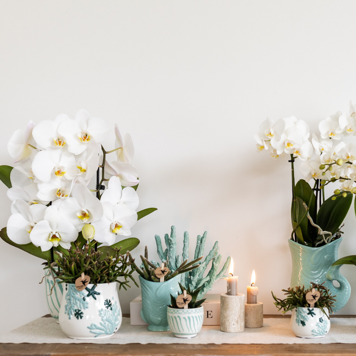Kolibri Home | Coral Plantenpot - Blue - Ø9cm