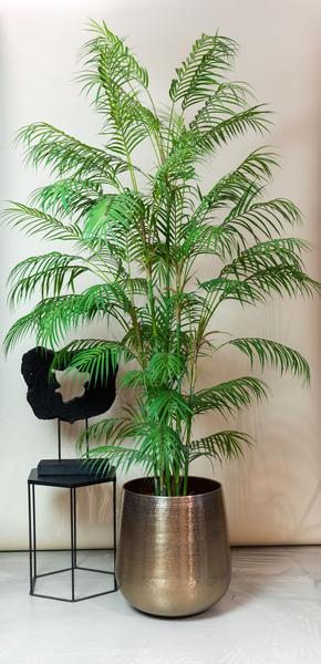 Kunstplant - Chamaedorea Elegans - Bergpalm - ↕180cm - Ø14cm