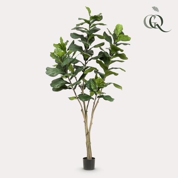 Kunstplant - Ficus Lyrara - Tabaksplant - ↕210cm - Ø17cm