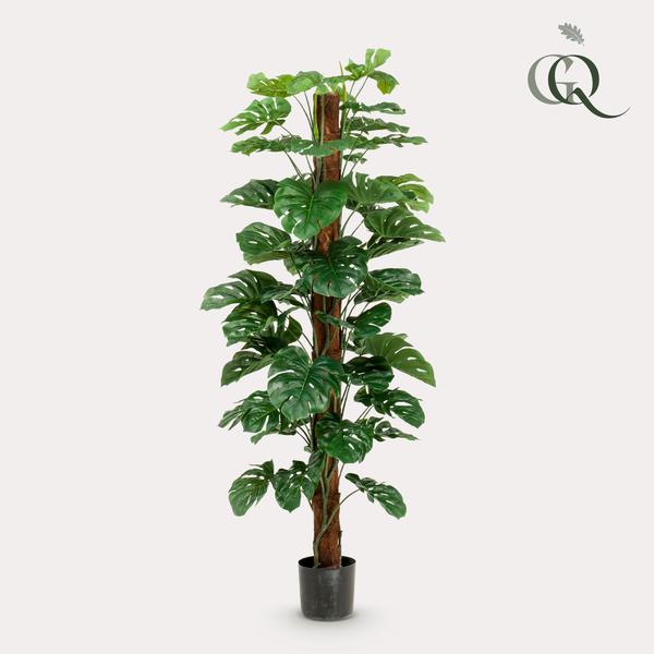 Monstera Deliciosa - kunstplant - ↕180cm - Ø17cm