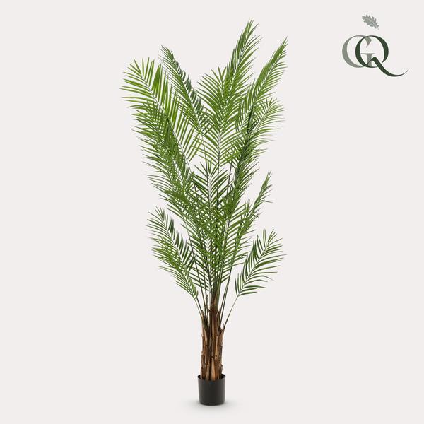 Kunstplanten - Areca Lutescens - Goudpalm - ↕240cm - Ø17cm