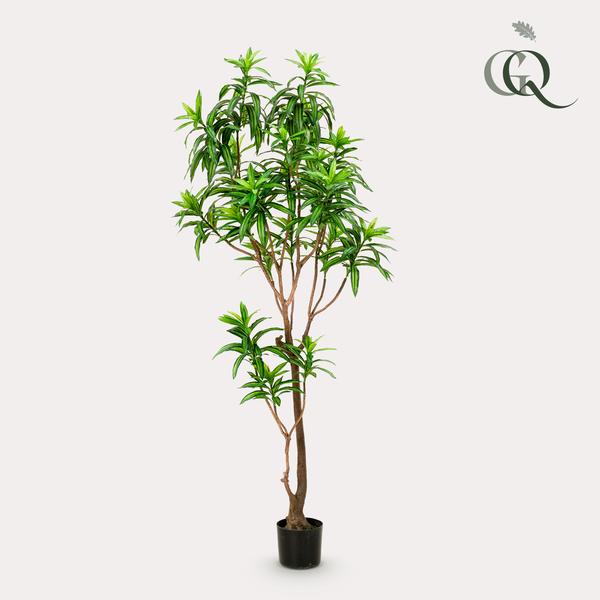 Kunstplant - Dracaena - Drakenboom - ↕190cm - Ø17cm