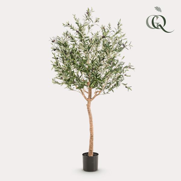 Kunst Olijfboom - Olea europaea - Olijfboom - ↕180cm - Ø15cm