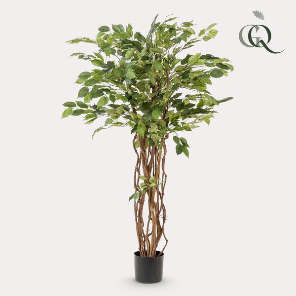 Kunstplant - Ficus liana - Vioolbladplant - ↕140cm