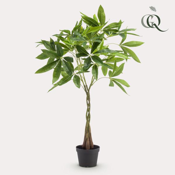 Kunstplant - Pachira Aquatica - Geldboom - ↕90cm - Ø15cm