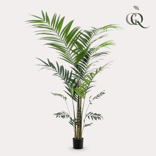 Kunstplant - Kentia -Kentiapalm - ↕210cm - Ø17cm