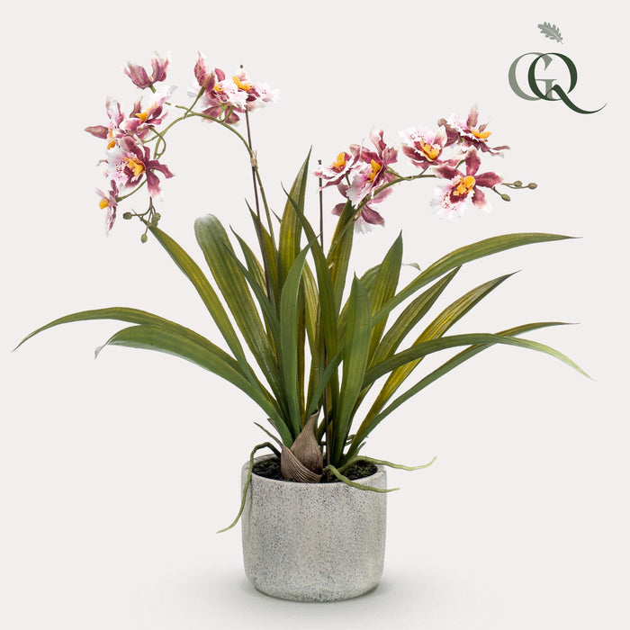 Kunstplant - Orchidee - Bordeaux - ↕45cm - Ø16cm