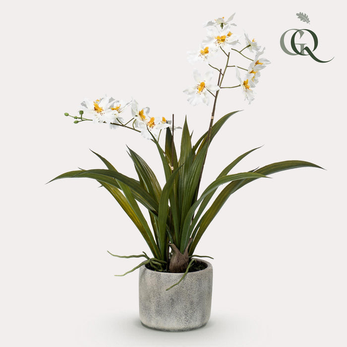 Kunstplant - Orchidee - Wit - ↕45cm - Ø16cm
