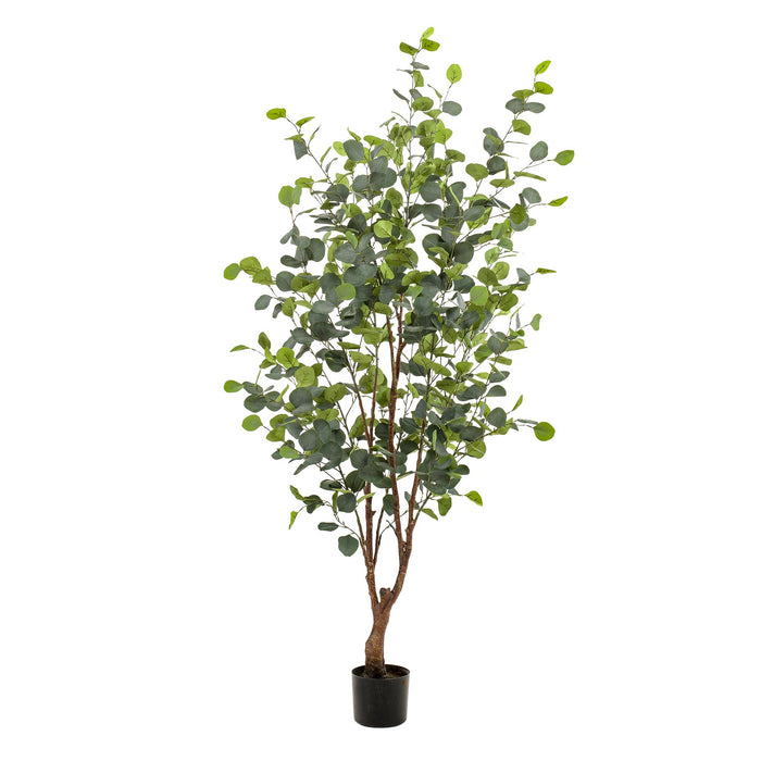 Kunstplant - Eucalyptus - Blauwe Gomboom - ↕140cm - Ø15cm
