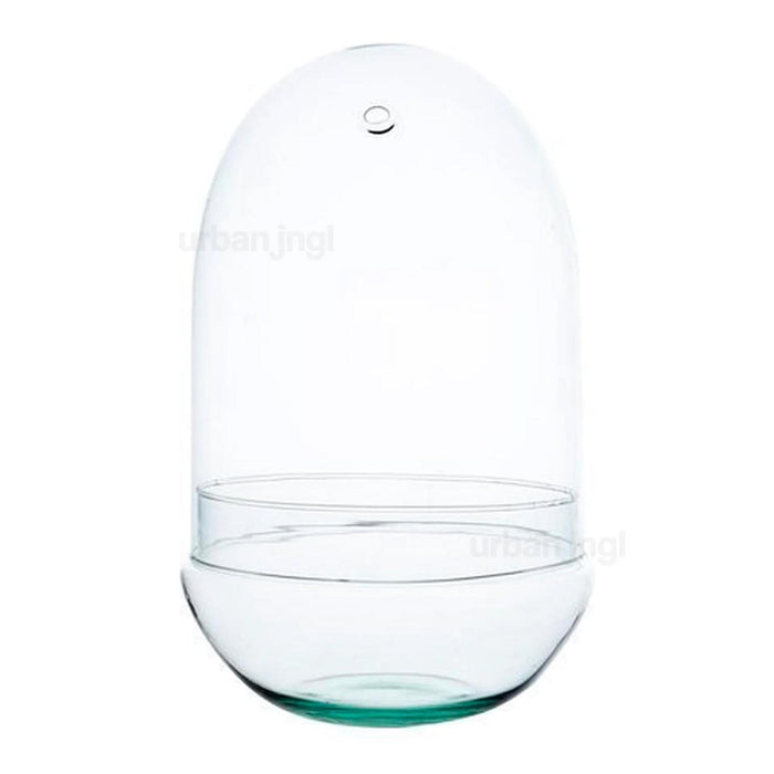 Terrarium Pot - Fles - (Half-)Gesloten terrarium ↕30cm - Egg XL