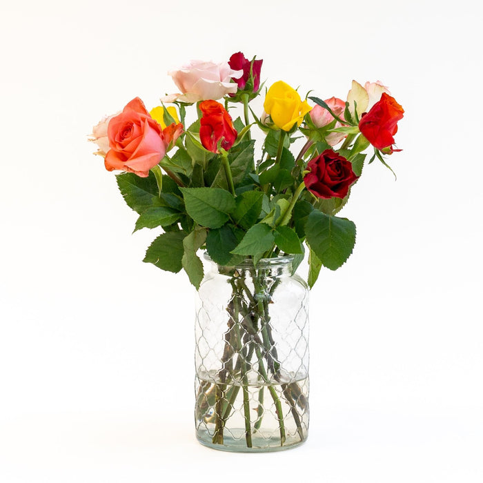 Letterbox Roses Mixed Colors - ↕35cm