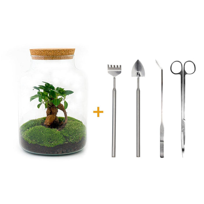 DIY terrarium - Milky met bonsai - ↕30cm + RSTS - Rake + Shovel + Tweezer + Scissors