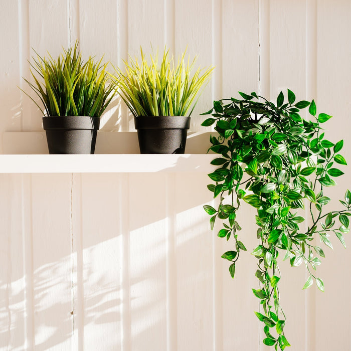 Mooiste kunstplanten