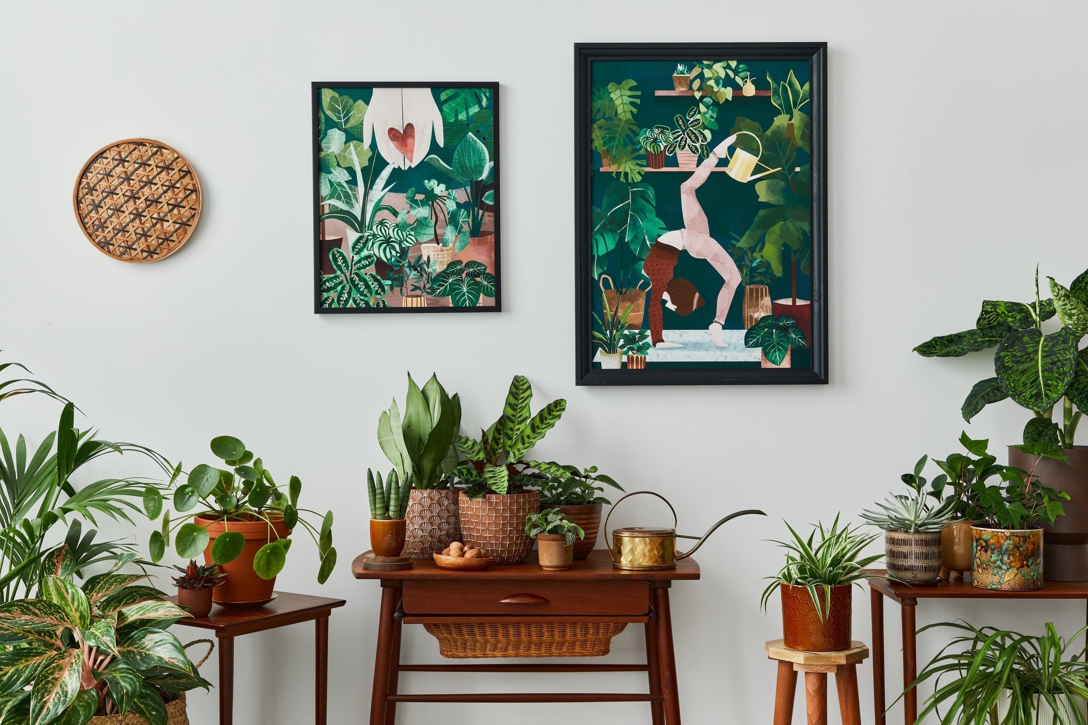 Urban Jungle