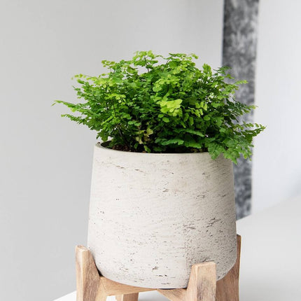 Pottery Pots Patt XXXL (Feet low), Grey Washed Ø38,4cm