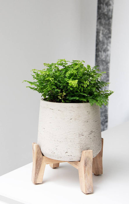 Pottery Pots Patt XXXL (Feet low), Grey Washed Ø38,4 cm