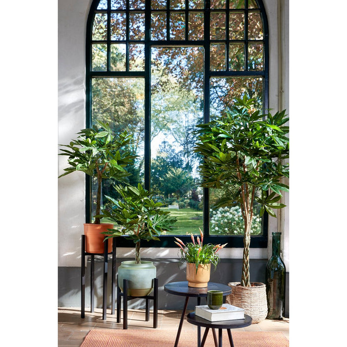 Plantenstandaard XL - L34 x B34 x H71 cm - Metaal - Zwart