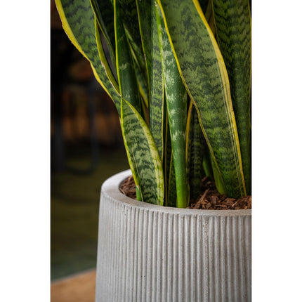 Pottery Pots Patt high M, Light Grey Ø30 cm (verticaal geribbeld)
