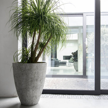 Pottery Pots Oliver L, Imperial White Ø70 cm