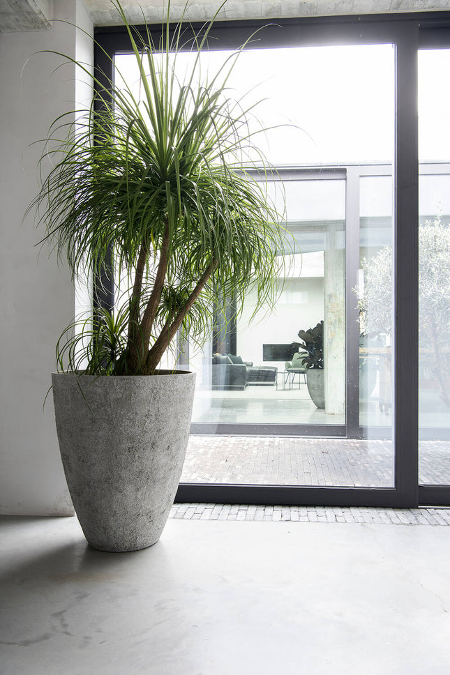 Pottery Pots Oliver L, Imperial White Ø70 cm