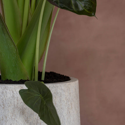 Pots en poterie Nax L, Travertin Beige Ø30 cm