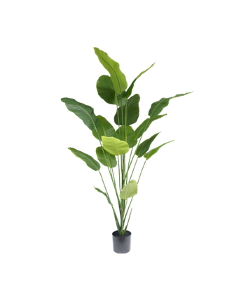 Strelitzia artificial plant 210 cm