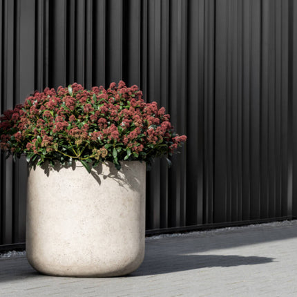 Jumbo Charlie Beige Vasket - XS - D62 x H60 - Keramikpotter | Betonlook plantekasse