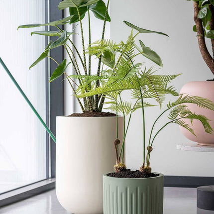 Pottery Pots Arcus S, Sage Green Ø36 cm
