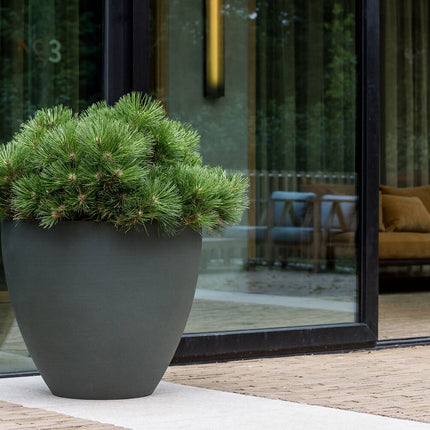 Pottery Pots Jesslyn S, Pine Green Ø47 cm