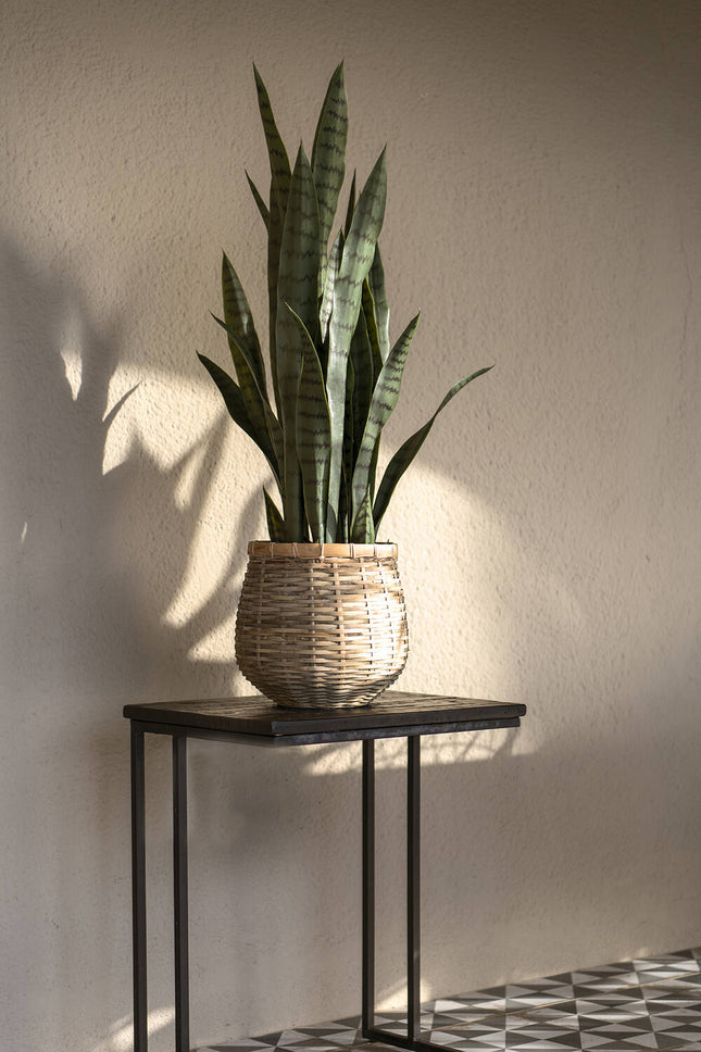 Artificial plant Sansevieria S, 70 cm