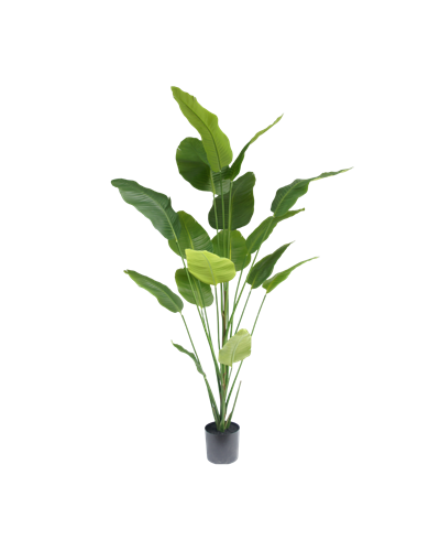 Strelitzia kunstplant 210 cm
