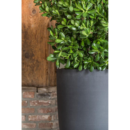 Pottery Pots Bucket M, Volcano Black Ø54 cm