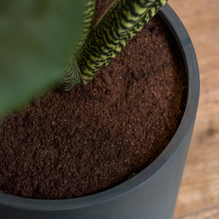 Pottery Pots Max L, Pine Green Ø47 cm