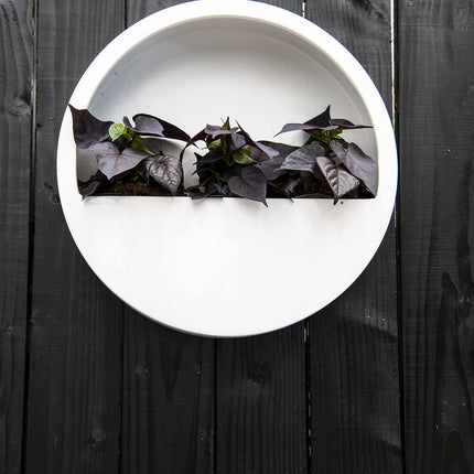 Pottery Pots Wally (hangend) S, Matte White Ø39,4 cm