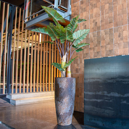 Kunstplant Alocasia - ↕160cm