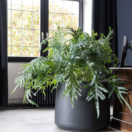 Pottery Pots Jumbo Patt M, Zwart Ø96 cm