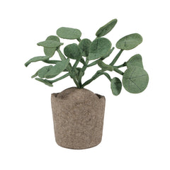 Collection image for: Vilten Planten