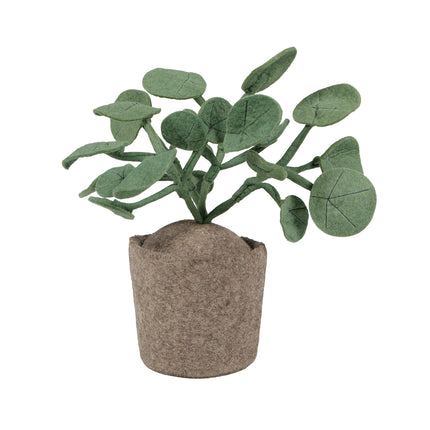KidsDepot vilten plant Pileo Pepero - Groen