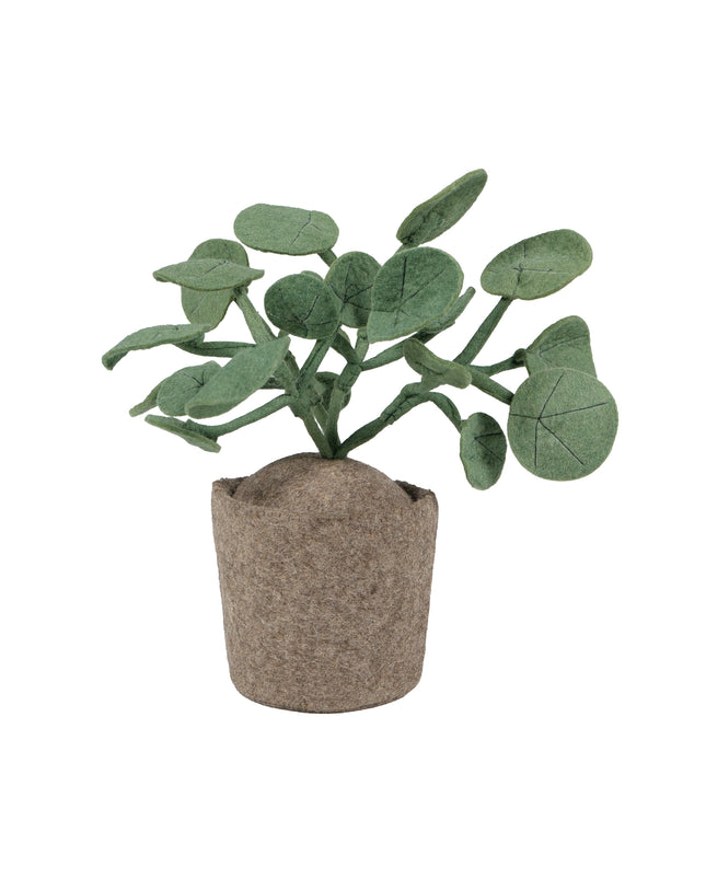 KidsDepot vilten plant Pileo Pepero - Groen