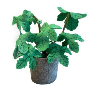 KidsDepot vilten vijgenboom (Ficus carica) - groen